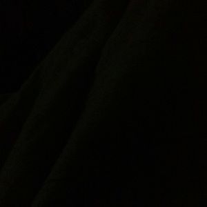 Meet your Posher, Tiana